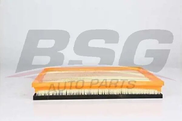 CUSTOM 2.0 PANTHER/2,2 TDCİ BSG HAVA FILTRESI FWD SÜNGERLI
