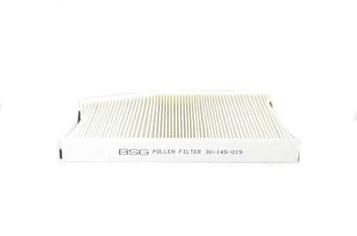 TRANSİT V-362/V-363 BM BSG POLEN FİLTRESİ (KARBONSUZ) 1812679