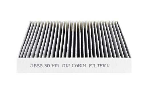 C-MAX BM BSG POLEN FİLTRESİ (KARBONLU)/3M5J 19G244 ABHF 1713182