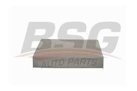 MONDEO BM BSG POLEN FİLTRESİ 1315687 BSG 24-4610