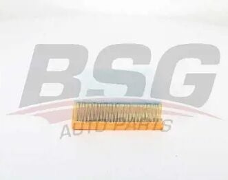 FOCUS/C-MAX/KUGA/MONDEO/S-MAX/VOLVO 2,5L DURATEC BENZİNLİ BSG HAVA FILTRESI 306 -37444 / 1418712
