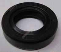 PİRİZDİREK KEÇESİ R12 (17x28x7x13)