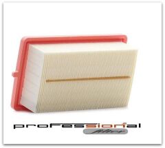 HAVA FİLTRESİ CAPTUR II 20>CLIO V 19> JUKE (...