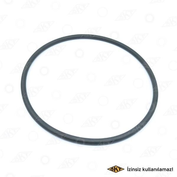 ŞANZUMAN ARKA KAPK KEÇESİ R9-R11 1.4-1.7-R19 1.8-1...