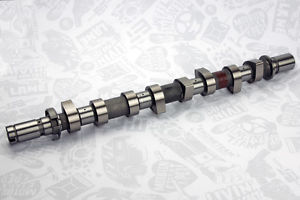 (130201169R) EKSANTRIK MILI MERCEDES OM607 X156 W1...