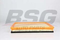 CUSTOM 2.0 PANTHER/2,2 TDCİ BSG HAVA FILTRESI FWD SÜNGERLI