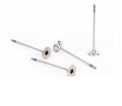 SUBAP EMME+EGZOZ ASTRA 1.3 CDTİ 16V (IN-8/EX-8)