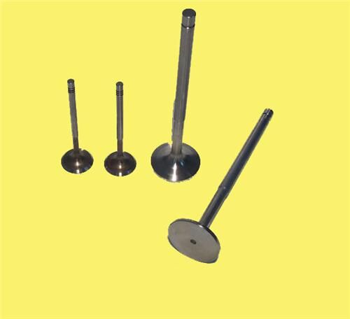 SUBAP EMME+EGZOZ ESCORT 1.6 D/LD/GLD 8V (IN-4/EX-4...