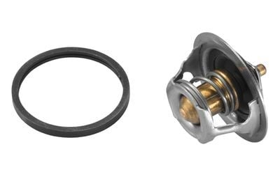 TERMOSTAT (89C) PEUGEOT 405-306-CITROEN (55) (KAUÇ...