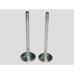 SUBAP EMME+EGZOZ PEUGEOT 207-308-3008-5008 ENG.DV6...