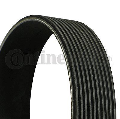 10PK1815 Multi V-Belt
