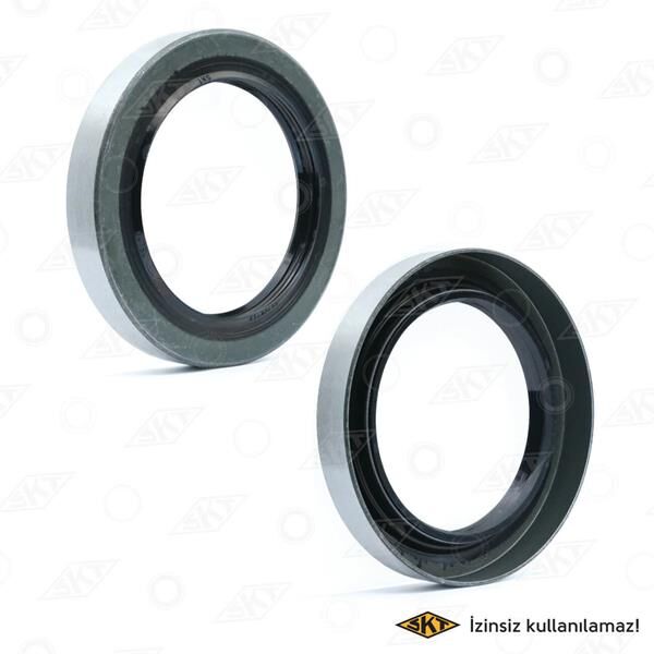 ARKA PORYA KEÇESİ İÇ STAREX (H1) (65x92x13)