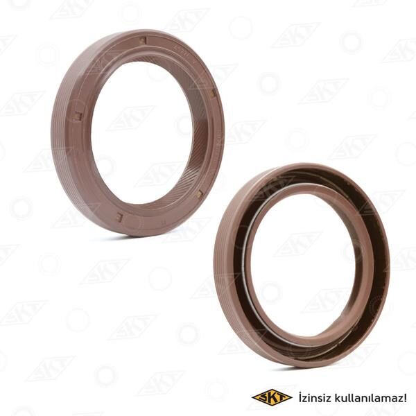 KRANK KEÇESİ ÖN DZL R9-KNG 1.9 (50x68x10)