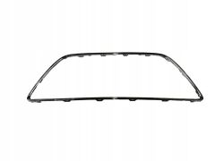 C-MAX/GRAND C-MAX BM ORİJİNAL TAMPON PANJUR ÇERÇEVE NİKELAJI  1699240