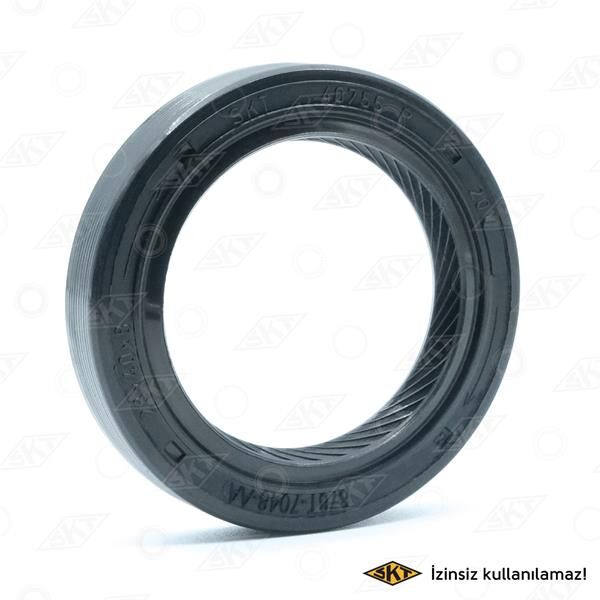 PIRIZ DIREK KECESI TRANSIT 85>91 AVRUPA 91>9...