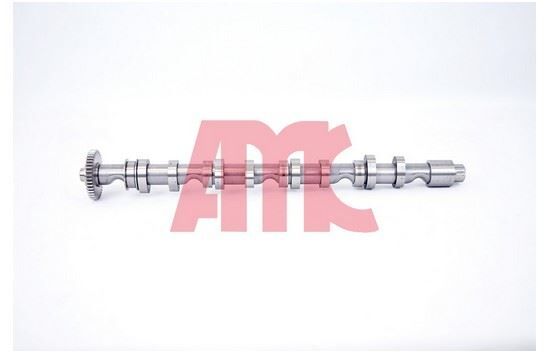 EKSANTRIK MILI CADDY-POLO-GOLF6-PASSAT-CRAFTER-T6-A3-T5 CAGA-CAGB-CAHA-CAYB-CAYC-CBAA-CBAB-CFFA-CFFB-CKUB-CAAB 1,6 TDI-2,0 TDI  10-   EGZOZ