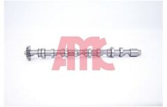 EKSANTRIK MILI CADDY-POLO-GOLF6-PASSAT-CRAFTER-T6-A3-T5 CAGA-CAGB-CAHA-CAYB-CAYC-CBAA-CBAB-CFFA-CFFB-CKUB-CAAB 1,6 TDI-2,0 TDI  10-   EGZOZ