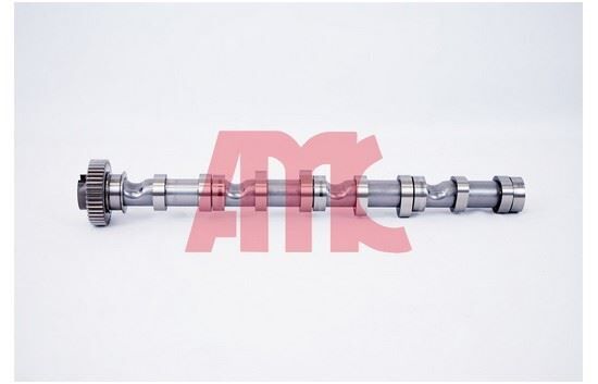 EKSANTRIK MILI CADDY-POLO-GOLF6-PASSAT-CRAFTER-T6-A3-T5 CAGA-CAGB-CAHA-CAYB-CAYC-CBAA-CBAB-CFFA-CFFB-CKUB-CAAB 1,6 TDI-2,0 TDI  10-   EMME