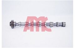 EKSANTRIK MILI CADDY-POLO-GOLF6-PASSAT-CRAFTER-T6-A3-T5 CAGA-CAGB-CAHA-CAYB-CAYC-CBAA-CBAB-CFFA-CFFB-CKUB-CAAB 1,6 TDI-2,0 TDI  10-   EMME