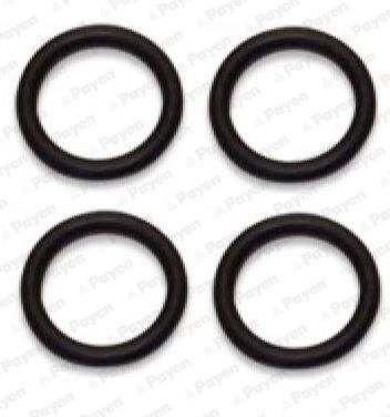 EMME MANİFOLT CONTASI PEUGEOT