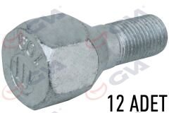 BİJON CİVATASI FIAT DUCATO-RENAULT MASTER (AA.24 M...