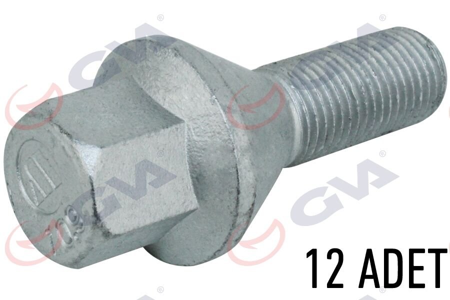 BİJON CİVATASI FIAT DUCATO-RENAULT MASTER (Y.M.)(A...