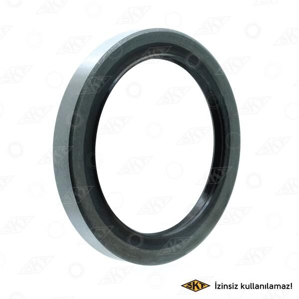 ARKA PORYA KEÇESİ İÇ H100 (62x82x9)