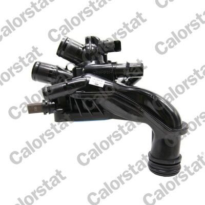 TERMOSTAT GOVDESI KOMPLE C5 III C4 PICASSO P508 P3...