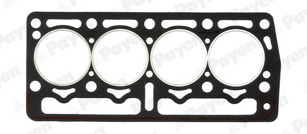 FIAT-PKW SİLİNDİR KAPAK CONTASI