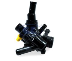 Thermostat. Cooling Liquid