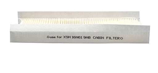 FOCUS BM BSG POLEN FİLTRESİ (KARBONLU)/TAM T16N619 FCS 1121106