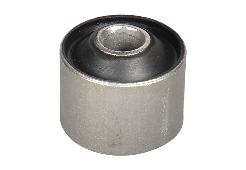 ARKA SALINCAK BURCU ŞİŞMAN 74- TAUNUS 74-