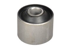 ARKA SALINCAK BURCU ŞİŞMAN 74- TAUNUS 74-