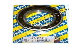 DEFRANSİYEL RULMANI KÜÇÜK R9-R11-SAXO-P106 I-II-LO...