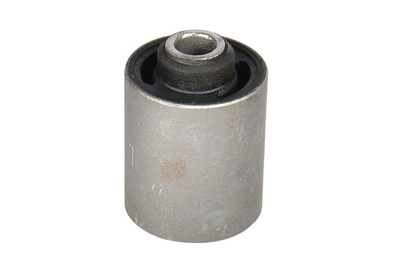 ARKA SALINCAK BURCU UZUN TAUNUS