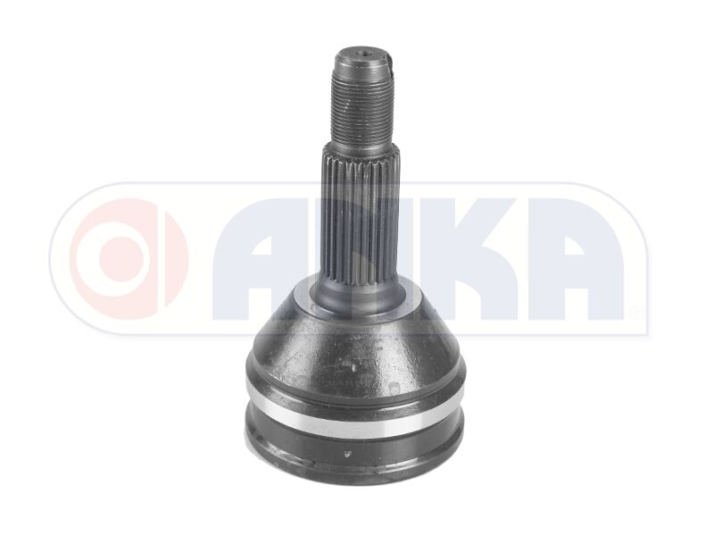 AKS KAFASI DIŞ SPERANZA