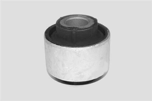 SALINCAK BURCU (ARKA) RENAULT MEGANE III 09> FL...