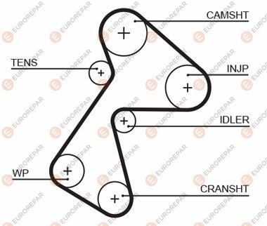 TRIGER KAYISI ZAMANLAMA KAYISI /151 DIS 1.9 CLIO/EXPRESS 97-