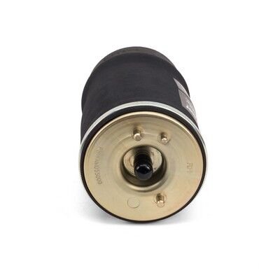 AMORTISOR KORUGU ARKA SAG X5 E53 00-06