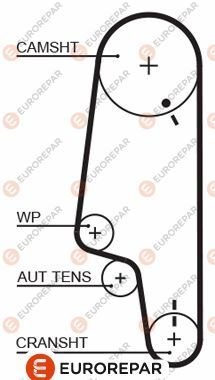 TRIGER KAYISI POLO AEV 1,0  94-96