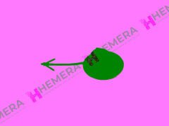 ÇEKİ DEMİR KAPAĞI ÖN OPEL MERIVA B 2010-2017