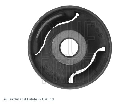 SALINCAK BURCU ON CIVIC 06-11