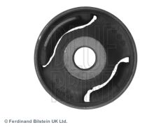 SALINCAK BURCU ON CIVIC 06-11