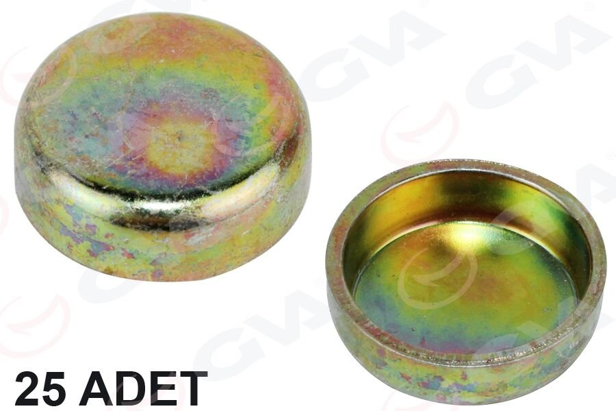 MOTOR BLOK SU TAPASI 25 mm (RENAULT)(UNİVERSAL) (P...
