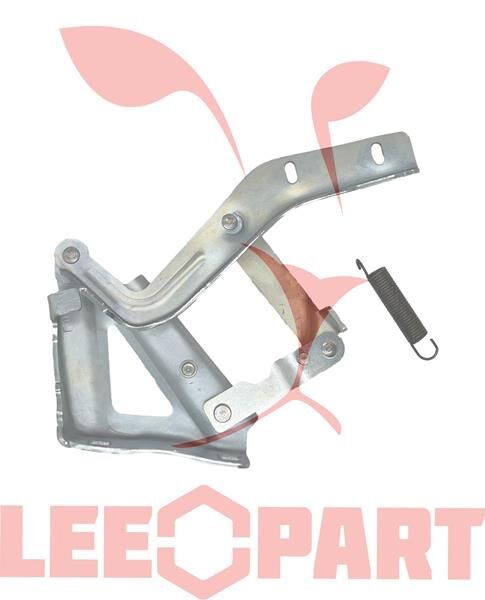 1352919080-KAPUT MENTEŞESİ YAYLI SOL FIORINO BIPPE...