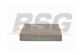 C-MAX BSG POLEN FİLTRESİ  1315687 BSG 24-4610
