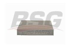 KUGA BM BSG POLEN FİLTRESİ  1315687 BSG 24-4610
