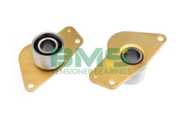 EKSANTRİK GERGİ RULMANI (BÜYÜK) CLIO 91>05 KANG...