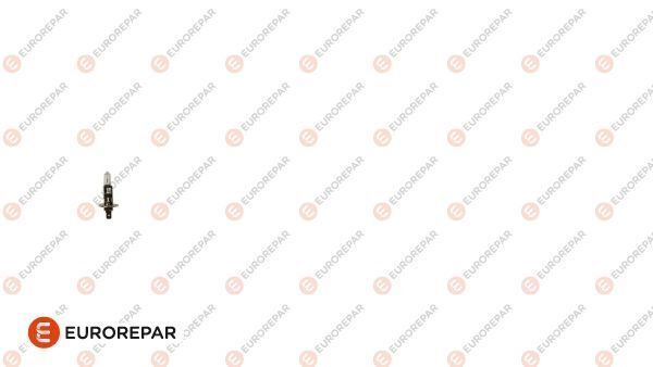 ERP H1 12V-55W AMPUL