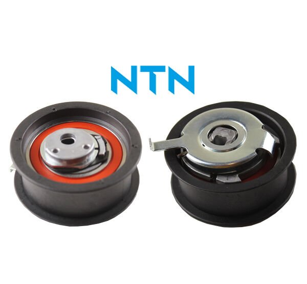 EKSANTRİK GERGİ RULMANI PASSAT-A4-A6-T4 1.9 TDI (1...